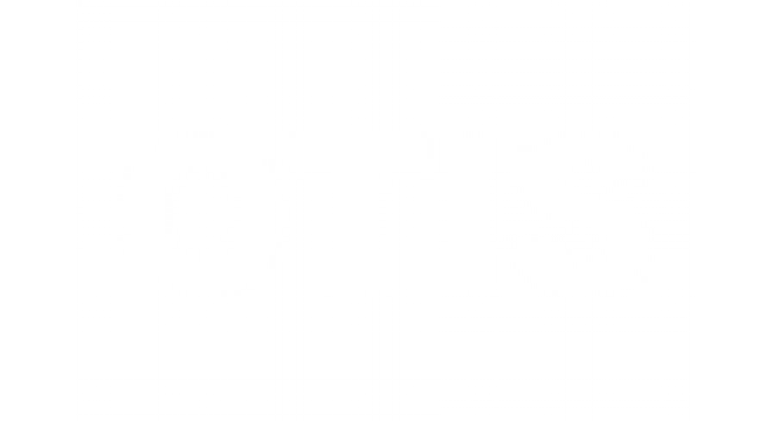 logo otis